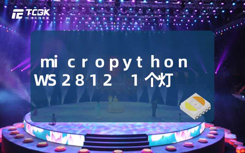 micropython WS2812 1个灯